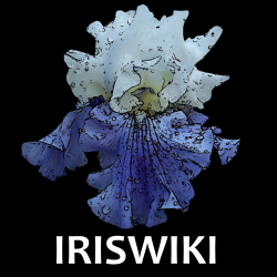 Iriswiki-Logo.png